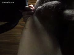 Horny guy takes a dog s rod in his ass